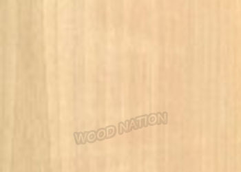 Wood Nation